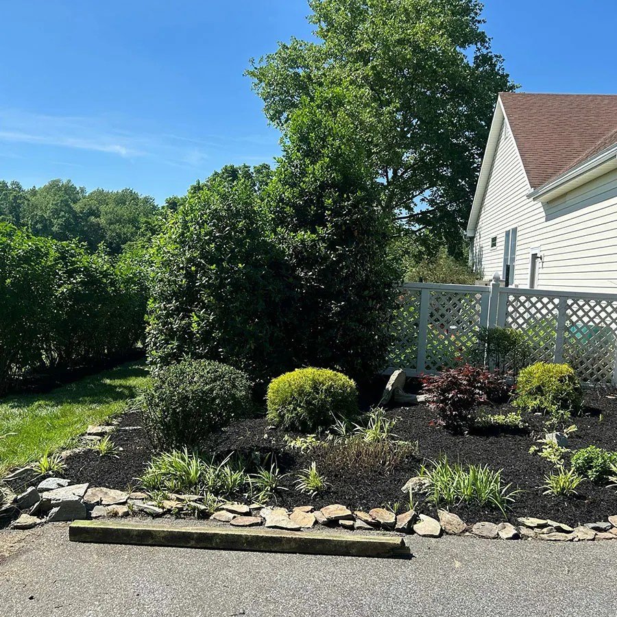 Dynamic Gardens