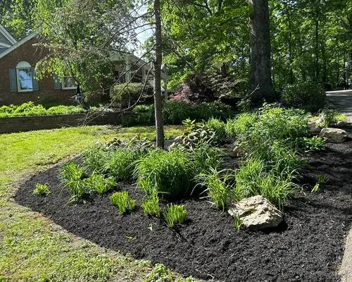 Dynamic Gardens