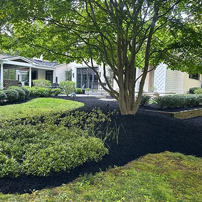 Our Work