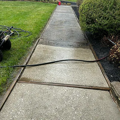 Our Work