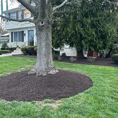 Our Work