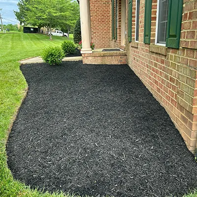 Our Work