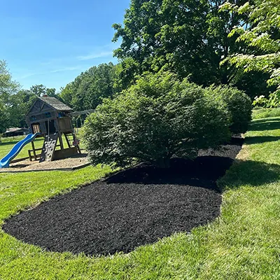 Our Work