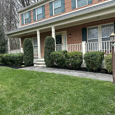 Our Work