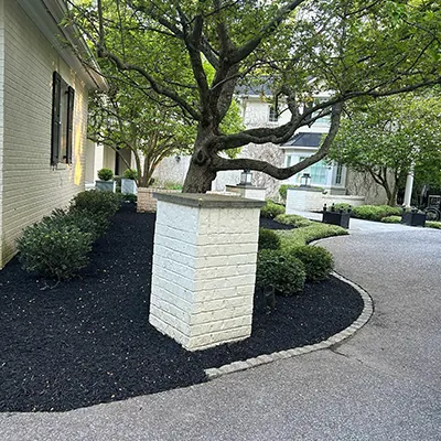Our Work