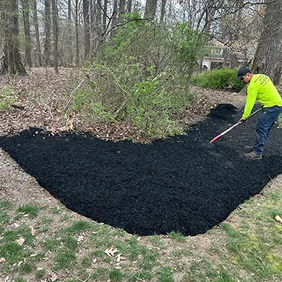Our Work