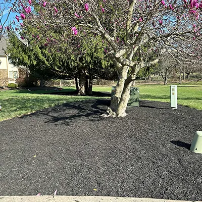 Our Work