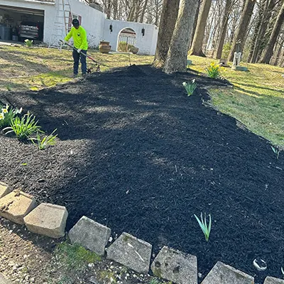 Our Work
