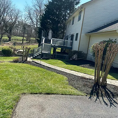 Our Work