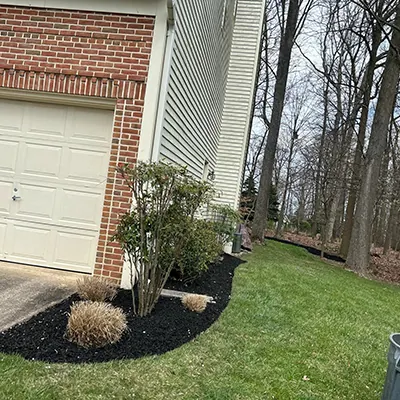 Our Work
