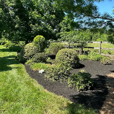 Our Work