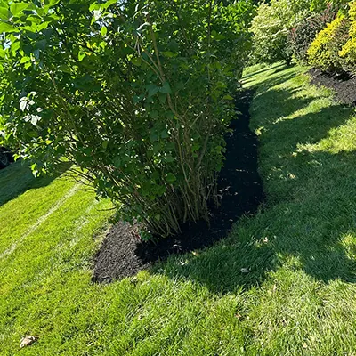 Our Work