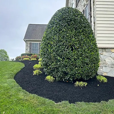Our Work