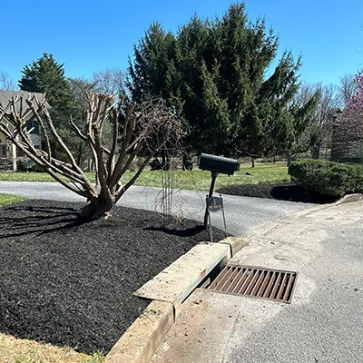 Our Work