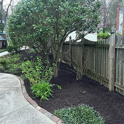 Our Work