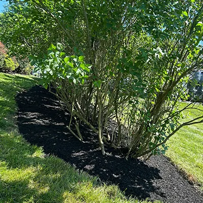 Our Work