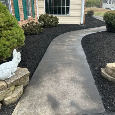 Our Work