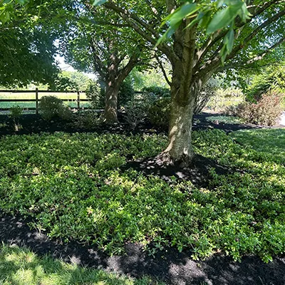 Our Work