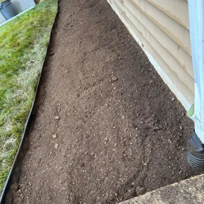 Our Work