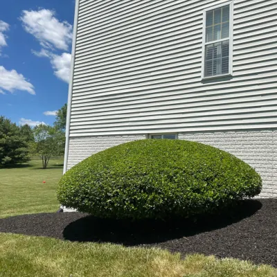 Our Work
