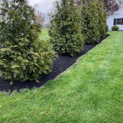 Our Work