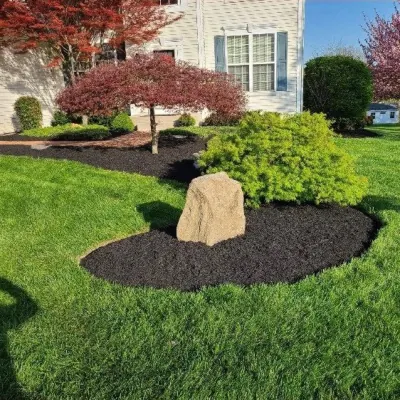 Our Work
