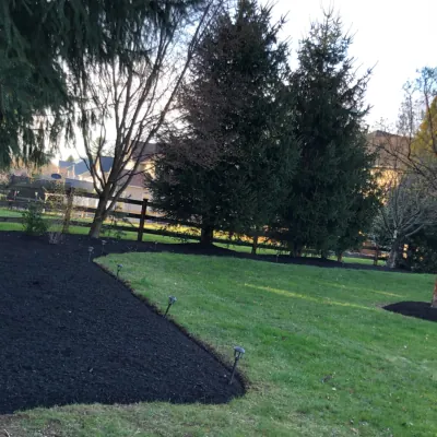 Our Work