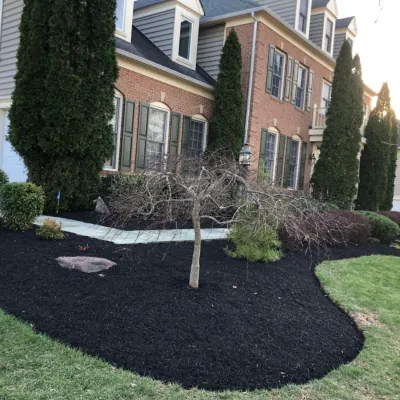 Our Work