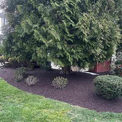 Our Work