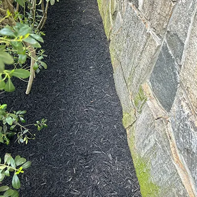 Our Work
