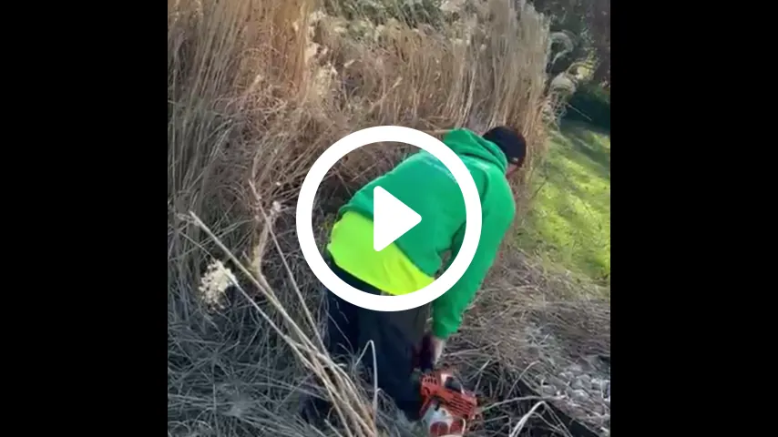 video1