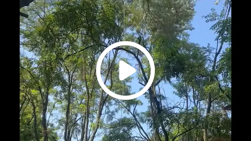 video2